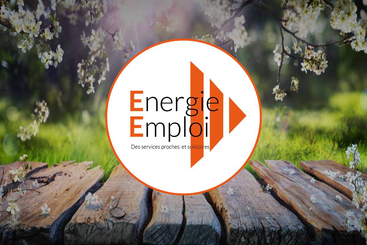 Offre d'emploi Energie Emploi